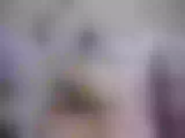 Live sex webcam photo for SexyAshley2x #255892889