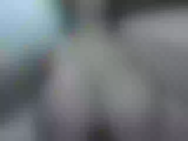 Live sex webcam photo for Mssburbuja #257383198