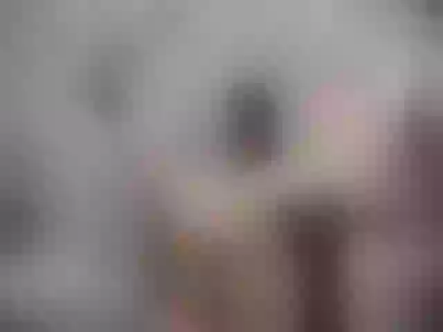 Live sex webcam photo for SexyAshley2x #259905626