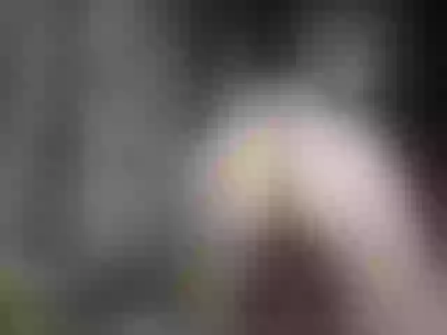 Live sex webcam photo for lecherouswife #257700805