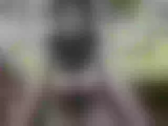 Live sex webcam photo for vicky-hot #241154139