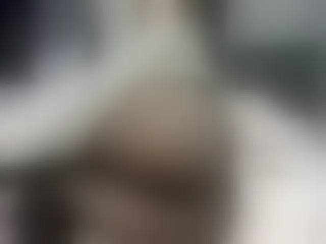 Live sex webcam photo for Sweet_tits2 #255787836
