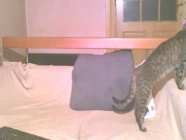 Live sex webcam photo for Lili_Mari69 #252837761