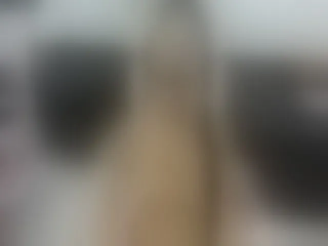 Live sex webcam photo for Msstrixxie #253445990