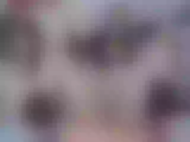 Live sex webcam photo for EsmeraldaXO #255317301