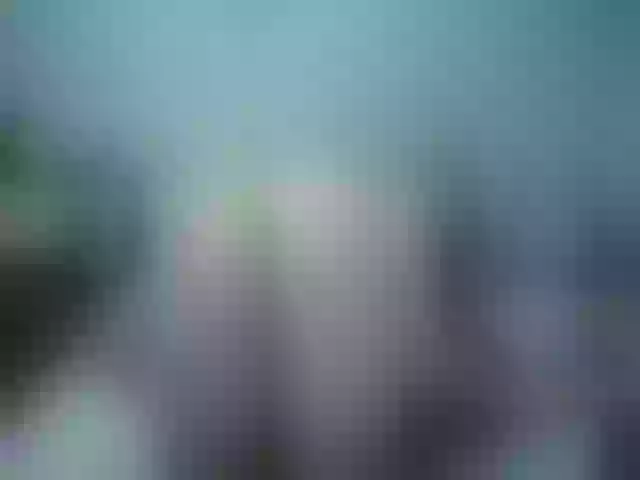 Live sex webcam photo for Girlhornyx20 #260991078