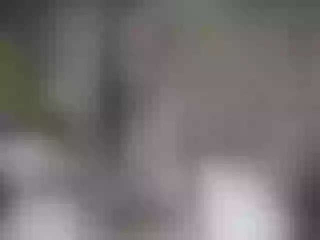 Live sex webcam photo for QuinnGray #252375734