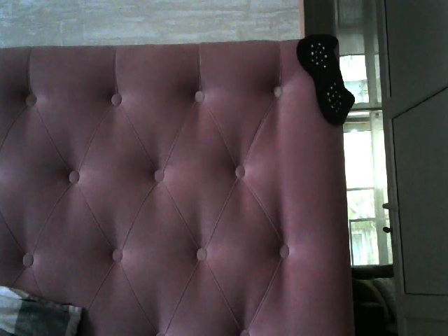 Live sex webcam photo for Jessica1717 #254540804