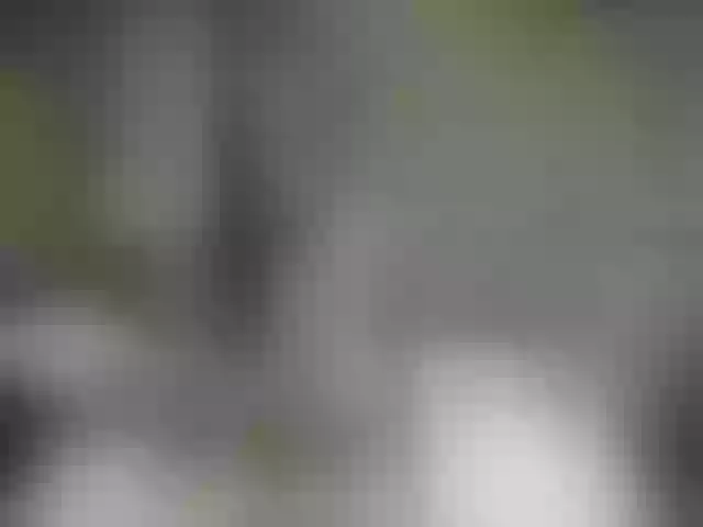 Live sex webcam photo for QuinnGray #252407983