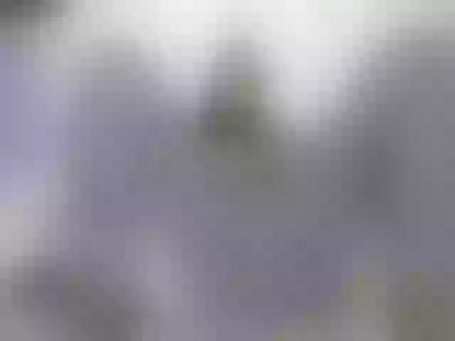 Live sex webcam photo for NoemiDavis #254315263