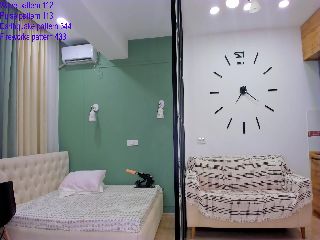 Live sex webcam photo for Japanesedream #252261831