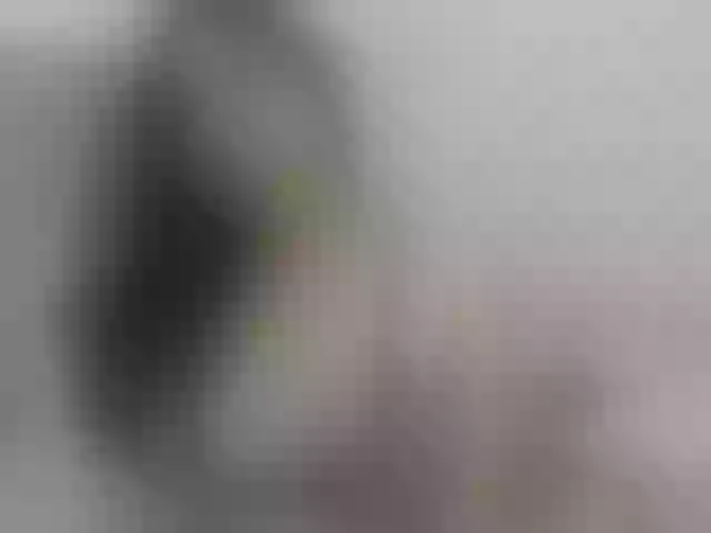 Live sex webcam photo for silvanasweet #241252808