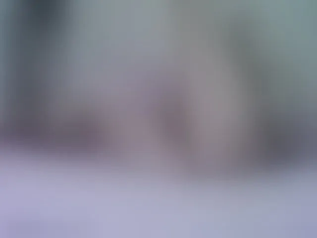 Live sex webcam photo for Mokkoann #263126224