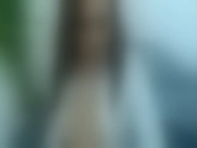 Live sex webcam photo for Stefanny_m #256607787