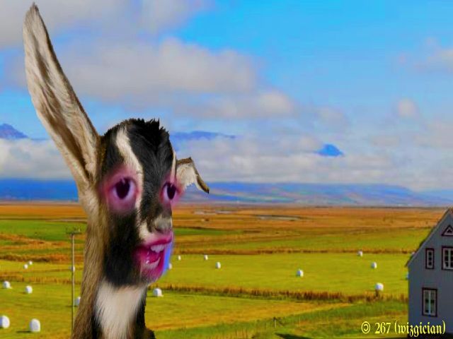 Live sex webcam photo for MinnieMoralia #254299789