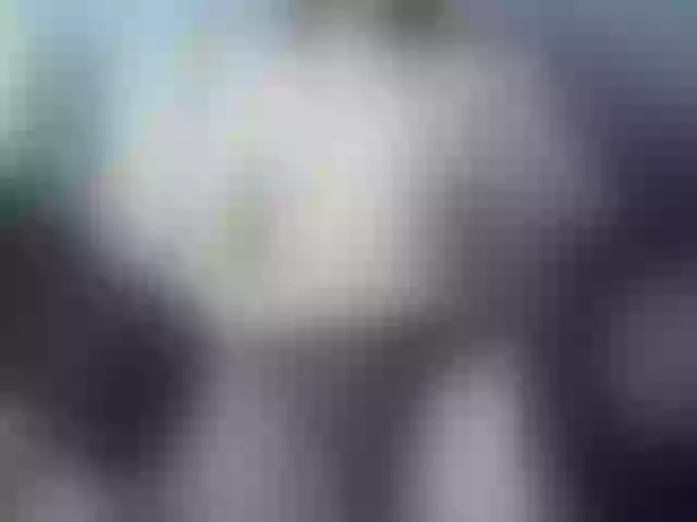 Live sex webcam photo for Anaste1sha #240948138