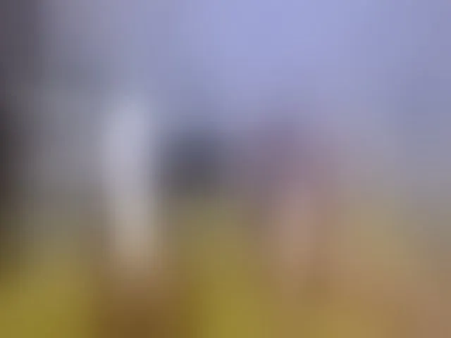 Live sex webcam photo for NikaRysa #256118980