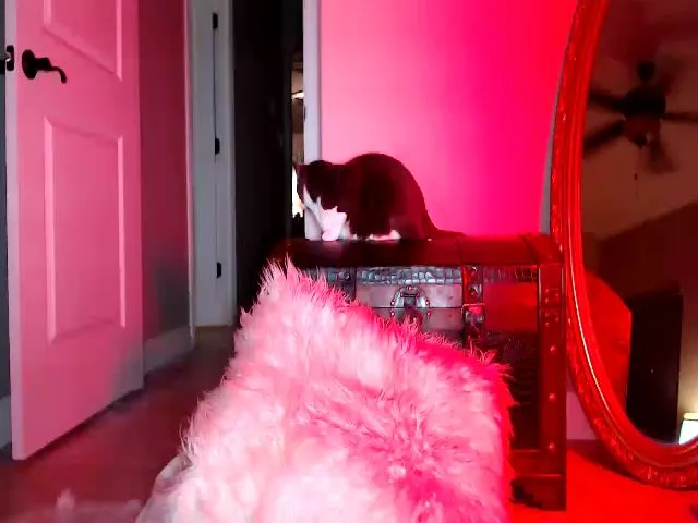 Live sex webcam photo for Brookebaby_ #254754834