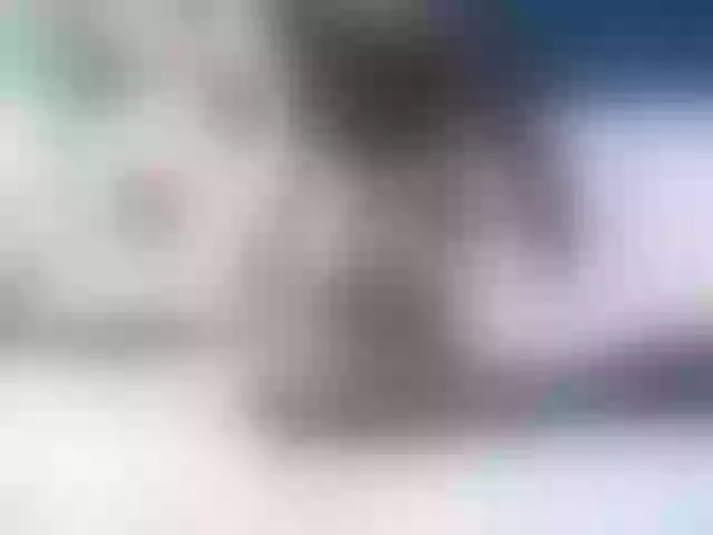 Live sex webcam photo for Ellaquality #258141242