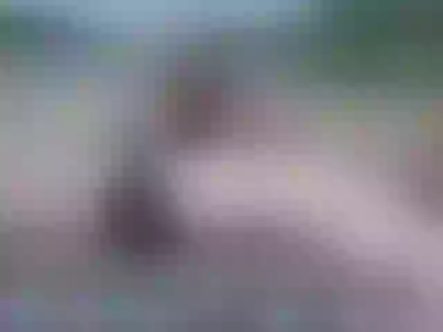 Live sex webcam photo for Siberia-Taiga #287988998