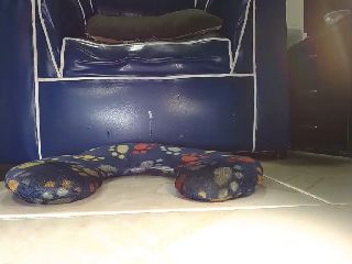 Live sex webcam photo for Alexia_Bonet #252119908