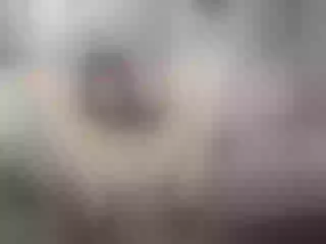 Live sex webcam photo for Afroditha_ #254612627