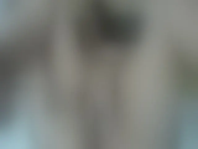 Live sex webcam photo for Mssburbuja #260460559
