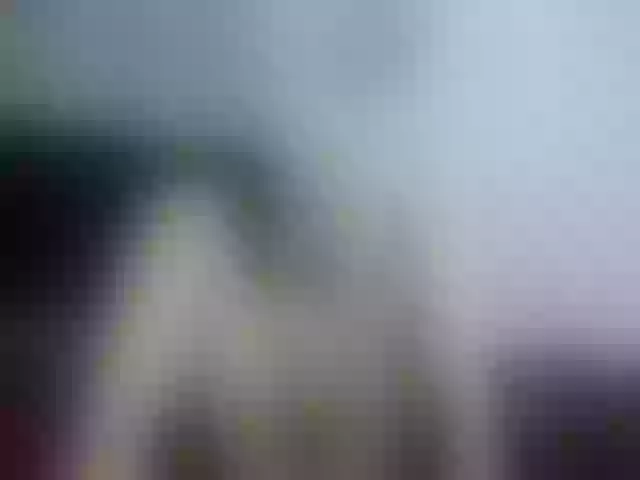 Live sex webcam photo for Girasolwalton #254916141