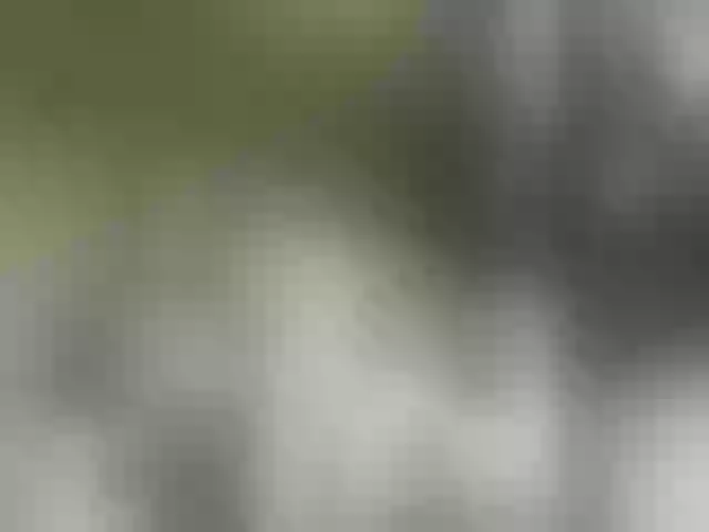 Live sex webcam photo for Wertuals1 #242794453
