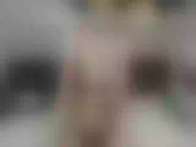 Live sex webcam photo for CleverAlexiss #254858546