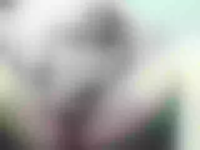 Live sex webcam photo for KishaColins #241336490