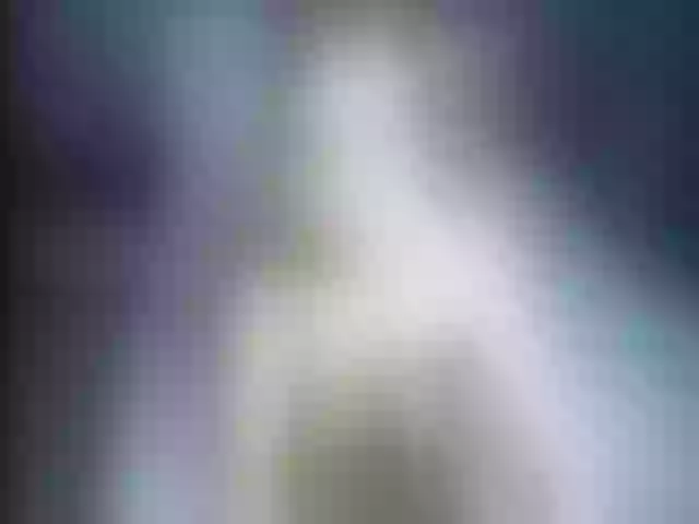 Live sex webcam photo for Ellaquality #253736889