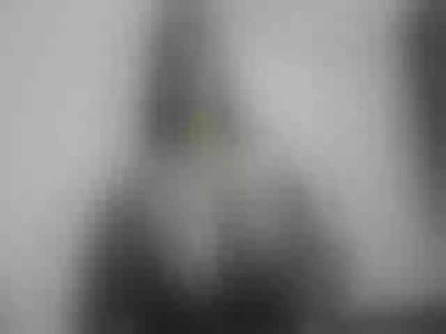 Live sex webcam photo for Lunabigtits #253275628