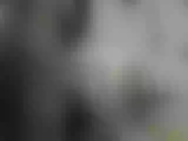 Live sex webcam photo for Mssburbuja #261150765