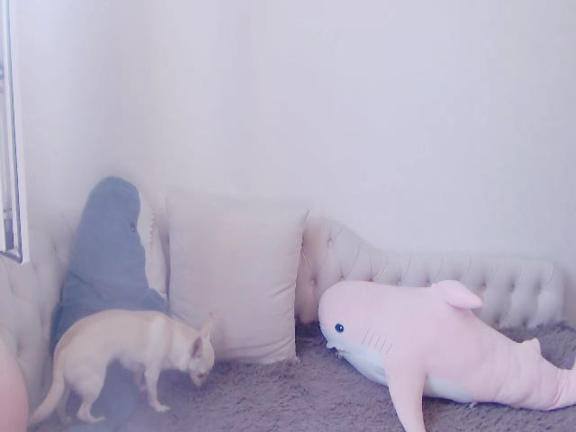 Live sex webcam photo for DemiAmourrrr #255074140