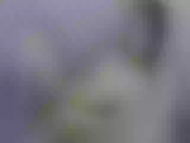 Live sex webcam photo for Michelle_SZ #254072877