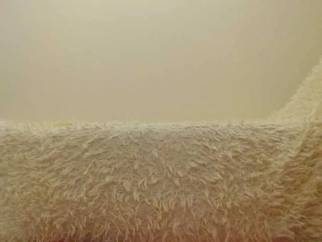 Live sex webcam photo for Mullty #245225785