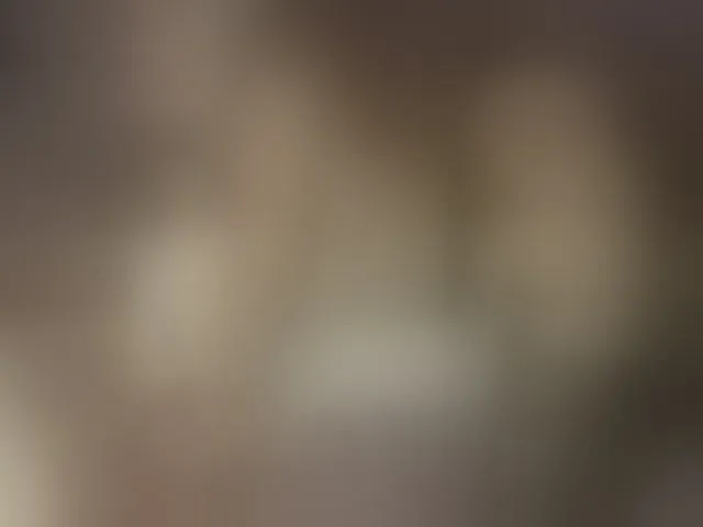 Live sex webcam photo for Xtina_ #262828313