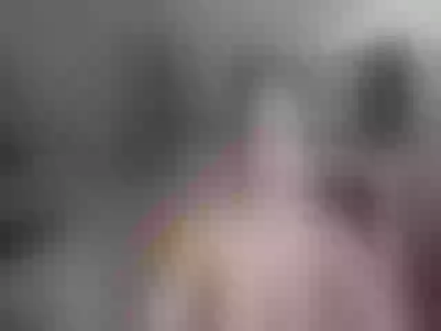 Live sex webcam photo for Giamazing #261753154