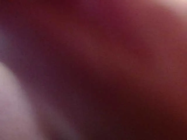 Live sex webcam photo for Nnefertary #248101032