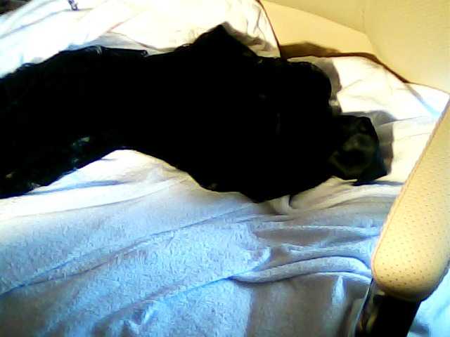 Live sex webcam photo for MadamSG #241100754