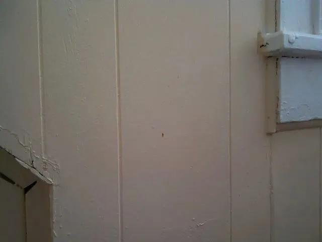 Live sex webcam photo for Ginger_secret #265082851