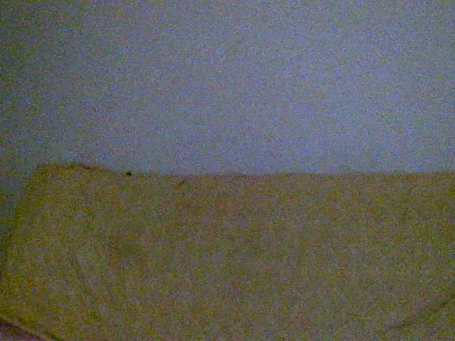 Live sex webcam photo for LadaSt #250159826