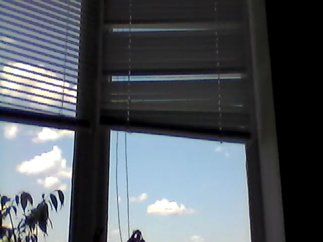 Live sex webcam photo for HotMakadamia #253377083