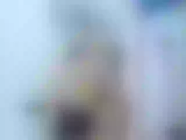 Live sex webcam photo for Msssofia_ #262121107