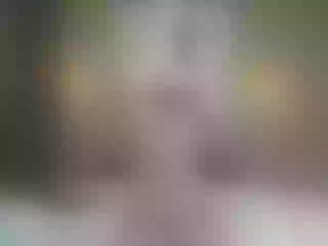 Live sex webcam photo for Miia_cox #258659614