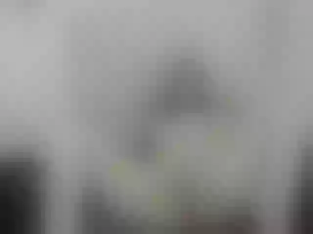 Live sex webcam photo for sophy-vip #241099509