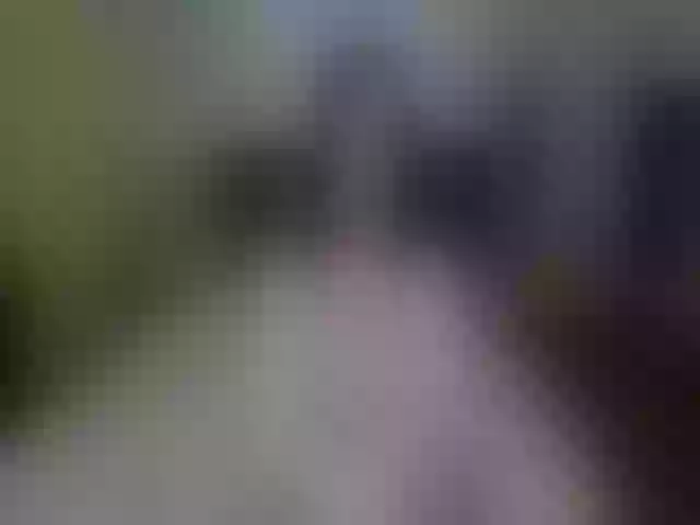 Live sex webcam photo for lolIip0p__ #264950267