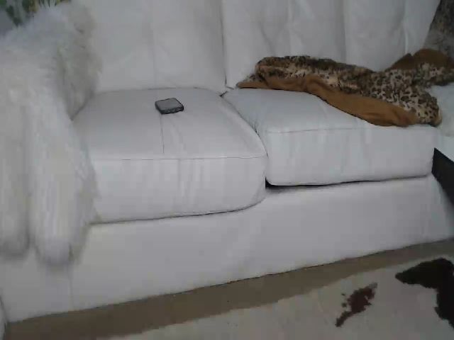 Live sex webcam photo for MariahKay #255719178