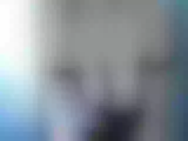 Live sex webcam photo for EmiliyaFoxy #255232472